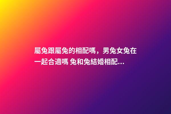 屬兔跟屬兔的相配嗎，男兔女兔在一起合適嗎 兔和兔結婚相配嗎兔和兔生肖做夫妻好嗎-第1張-觀點-玄機派